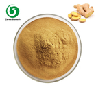 HPLC Herbal Extract Powder 40% Ginger Powder Food Raw Material