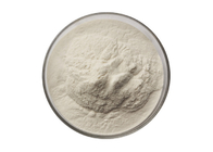 High Quality Food Grade Psyllium Seed Husks Extract Powder