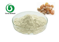 Herbal Extract Boswellia Serrata Extract Powder Boswellia Acid 65% 85% 90%