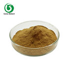 100% Natural Gum Trees Eucalyptus Leaves Herbal Extract Powder
