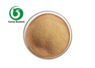 40% Dried Vegetable Powder Corn Silk Extract Powder