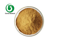Rubus Suavissimus Herbal Extract Powder Sweet Tea Extract Rubusoside 99%