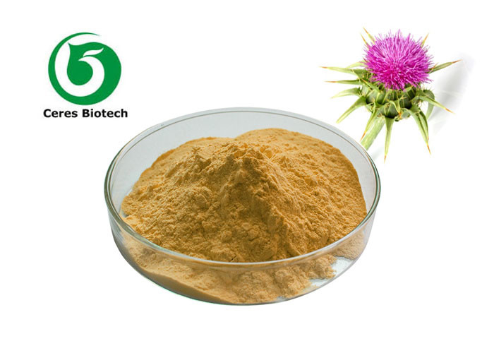 Liver Protection Silymarin Milk Thistle Extract Powder 80% Health Care Products