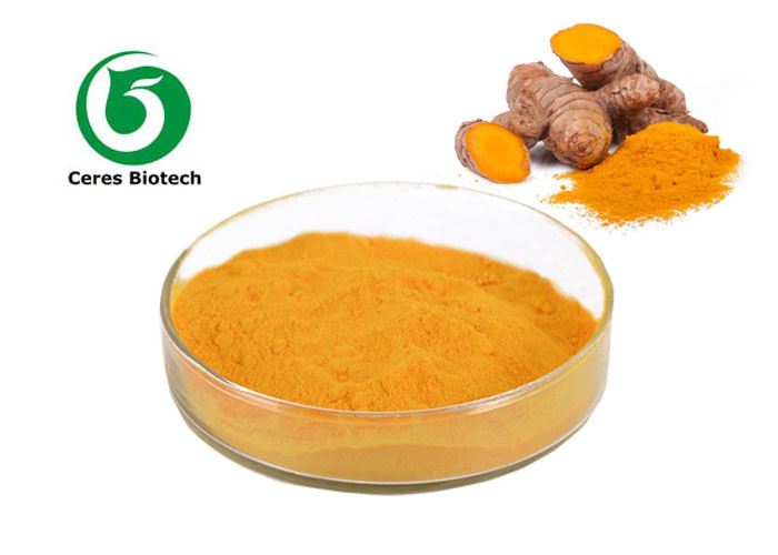 Yellow Orange Fine Turmeric Curcumin Powder Turmeric Root Extract