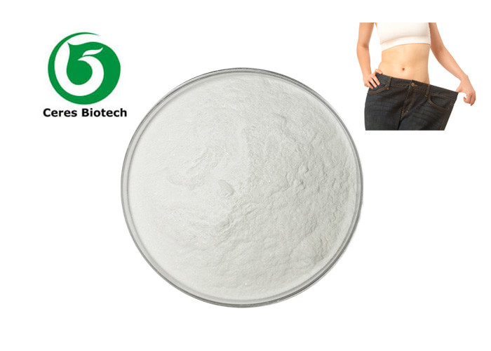 CAS 541-15-1 L Carnitine Pure Powder Weight Loss Supplement 1kg