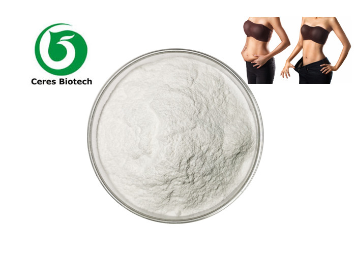 CAS 541-15-1 L Carnitina Amino Acid Powder For Weight Loss