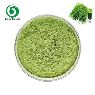 95% Food Grade Wheat Grass Powder Nutrition Dietary Supplement Powder