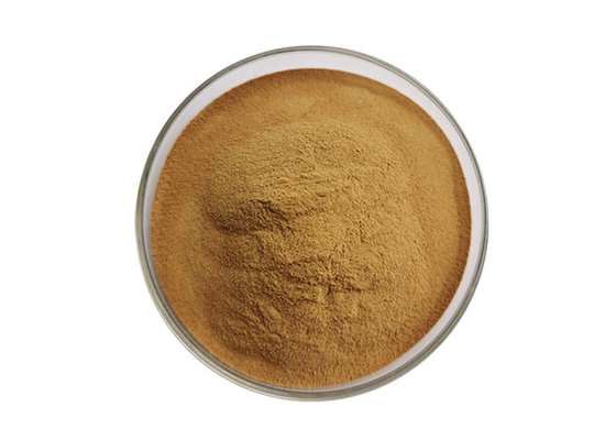 Food Grade Goji Berry Extract Powder Wolfberry Powder 5:1 10:1 20:1