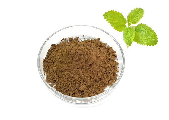 Lemon Balm Herbal Extract Powder Melissa Officinalis Extract