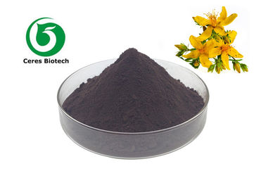 Supply Hyperforin Perforatum Extract St.John's Wort Extract Hypericin Powder