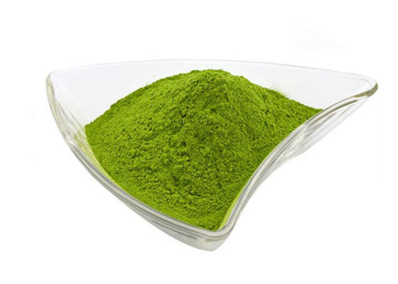 Spinach Powder for Natural Vegetable Supplement with Promoting Liver Function Recovery