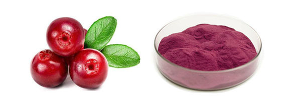 Best 99% Oranic Cranberry Fruit Juice Powder for Food and Health Products