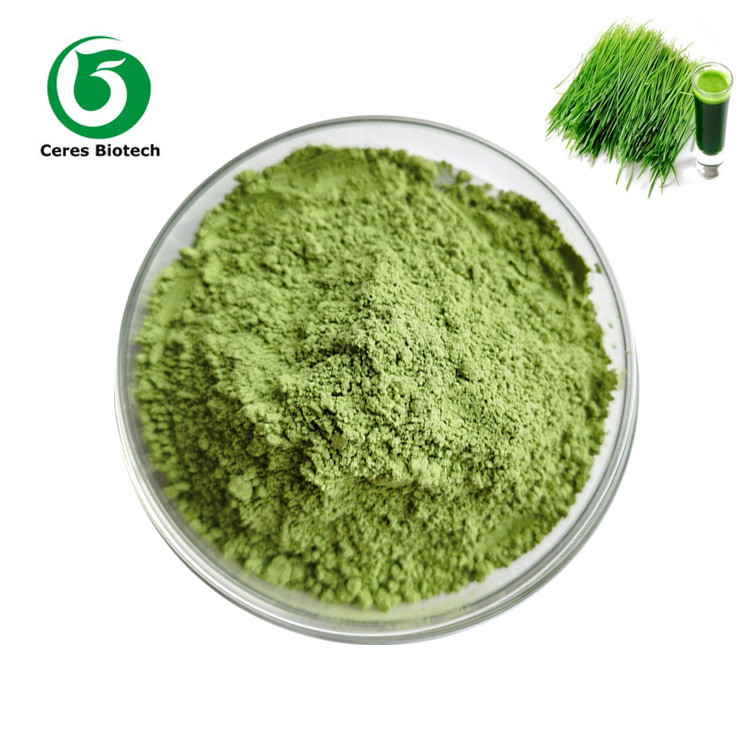 Dried Fruit Vegetable Powder 80 - 200 Mesh Wheatgrass Powder