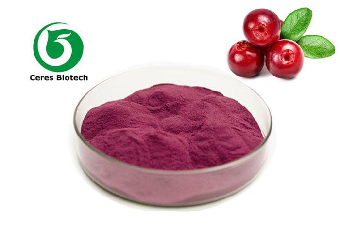 Best 99% Oranic Cranberry Fruit Juice Powder for Food and Health Products