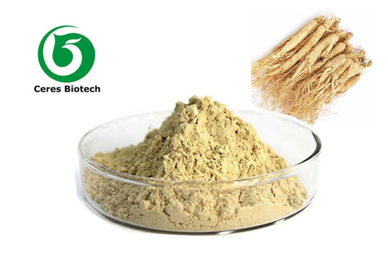 Heißes Verkaufs-Ginseng-Auszug-Pulver mit 5% 20% 80% Ginsenosides