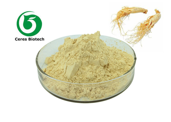 Reines Nahrungsmittelgrad Ginsing-Wurzel-Panax-Ginseng-Pulver-Ginseng-Auszug-Pulver