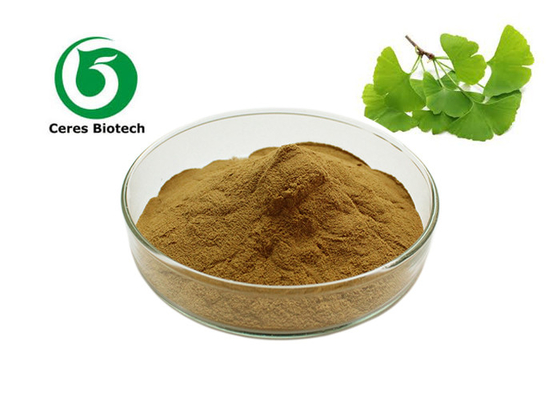Versorgung natürliches organisches Ginkgo Biloba-Blatt-Auszug-Massenpulver