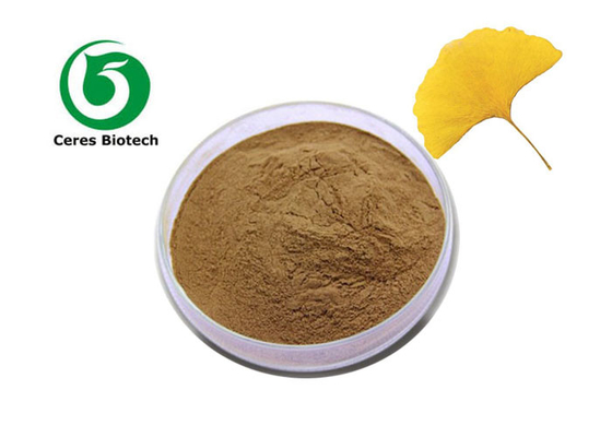 Flavone Wirkstoff Top 100% natürliches Ginkgo Biloba-Blatt-Extraktpulver