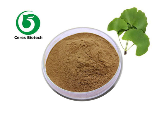 Ginkgo-Biloba-Blätter-Extrakt mit 5 ppm Ginkgo-Säure-Ethanol-Extraktion