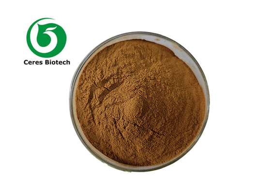 Nutzen Sie die gesundheitlichen Vorteile von Zucker-Ahorn-Extrakt aus der Botanik Astragalus Membranaceus